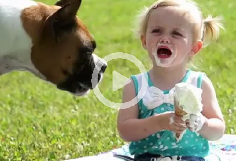 Dog Eats Ice Cream
